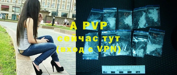 a pvp Богданович