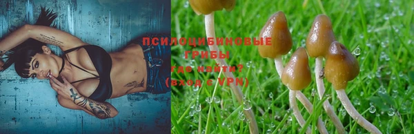a pvp Богданович