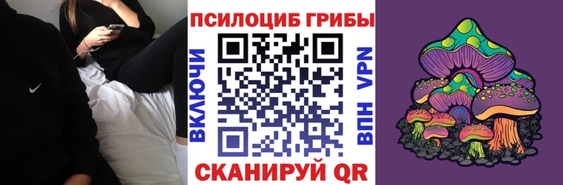купить наркотик  Константиновск  Псилоцибиновые грибы Cubensis 